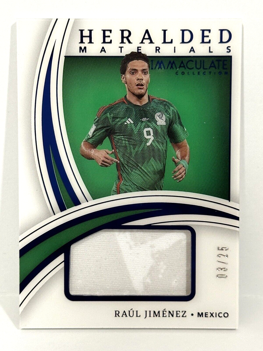 PANINI IMMACULATE SOCCER デンプシー サイン 2022-23 Panini Immaculate Mexico Player-Worn Patch Raul