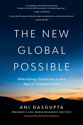 The New Global Possible: Evidence For Hope In The Fight For A Sustainable Future