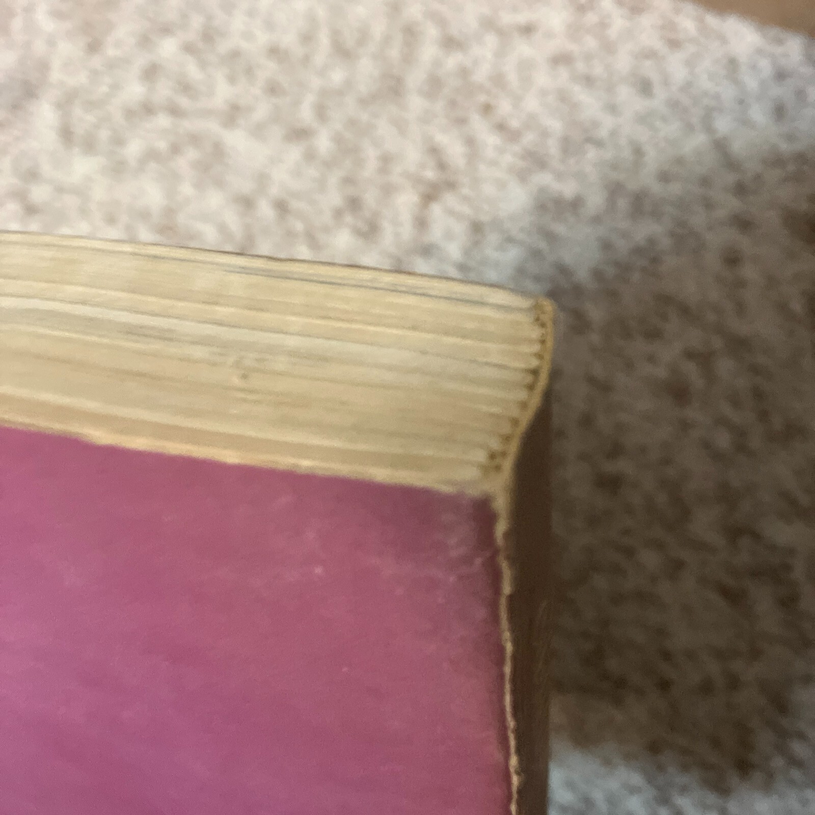Picture 10 of 24