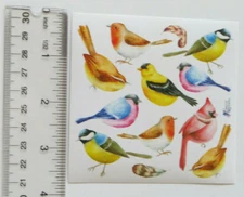 Violette Stickers - WATERCOLOR BIRDS - 4x4 Square Sheet of Stickers #K113