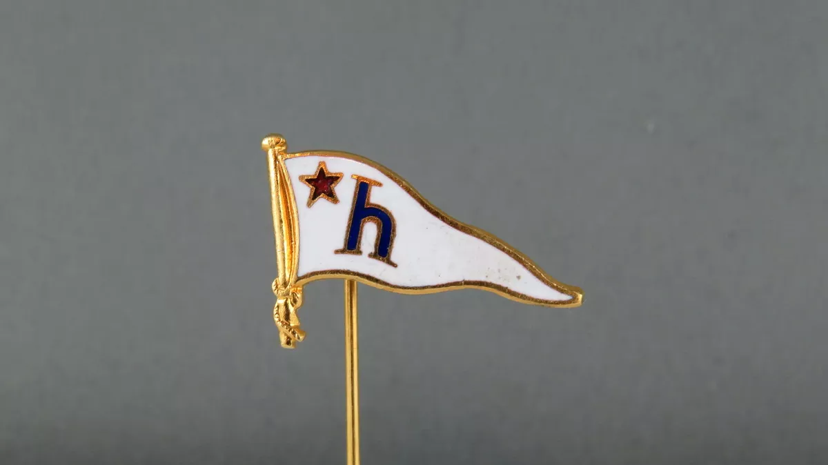 Pin on Hajduk