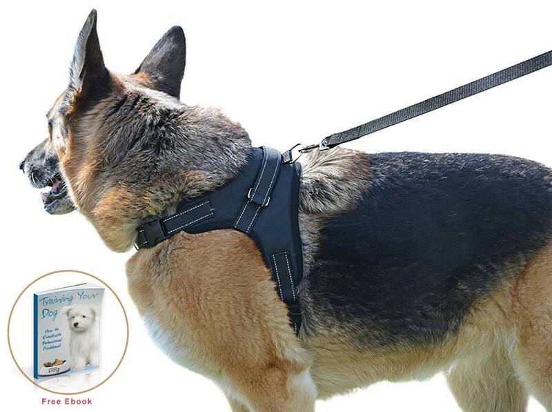 Dog Harness S M L XL Adjustable Collar Labrador Husky Malamute German Shepherd