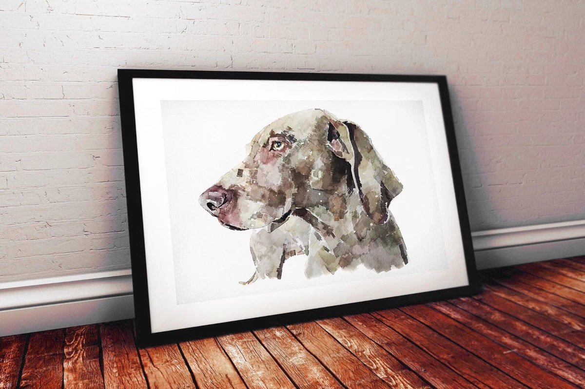 Weimaraner 5 Weimaraner Wall Decor Weimaraner Art Print