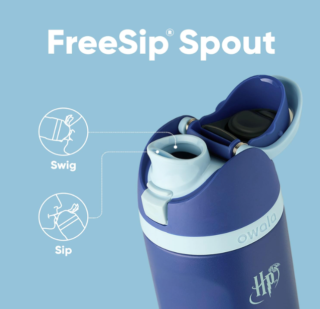 Harry Potter Ravenclaw 24 Oz. Stainless Steel Water Bottle