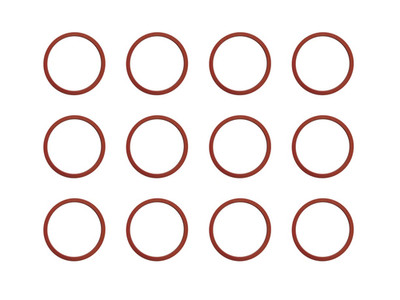 Intake O-Ring Seal for Many BS Engines Replaces B & S 691917 281106 (Pack of 12