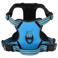 Hundegeschirr Mit Leine & Halsband Verstellbar Blau XL