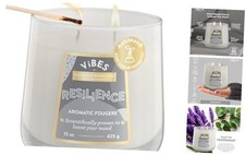 Candle-Lite Vibes Aromatic Fougere Scented Candles, 15 oz Resilience NEW 