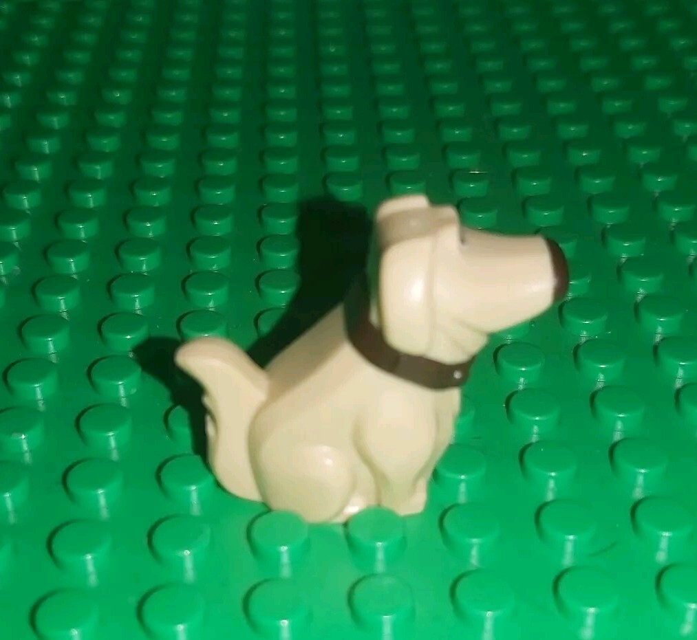 Picture 2 of 5