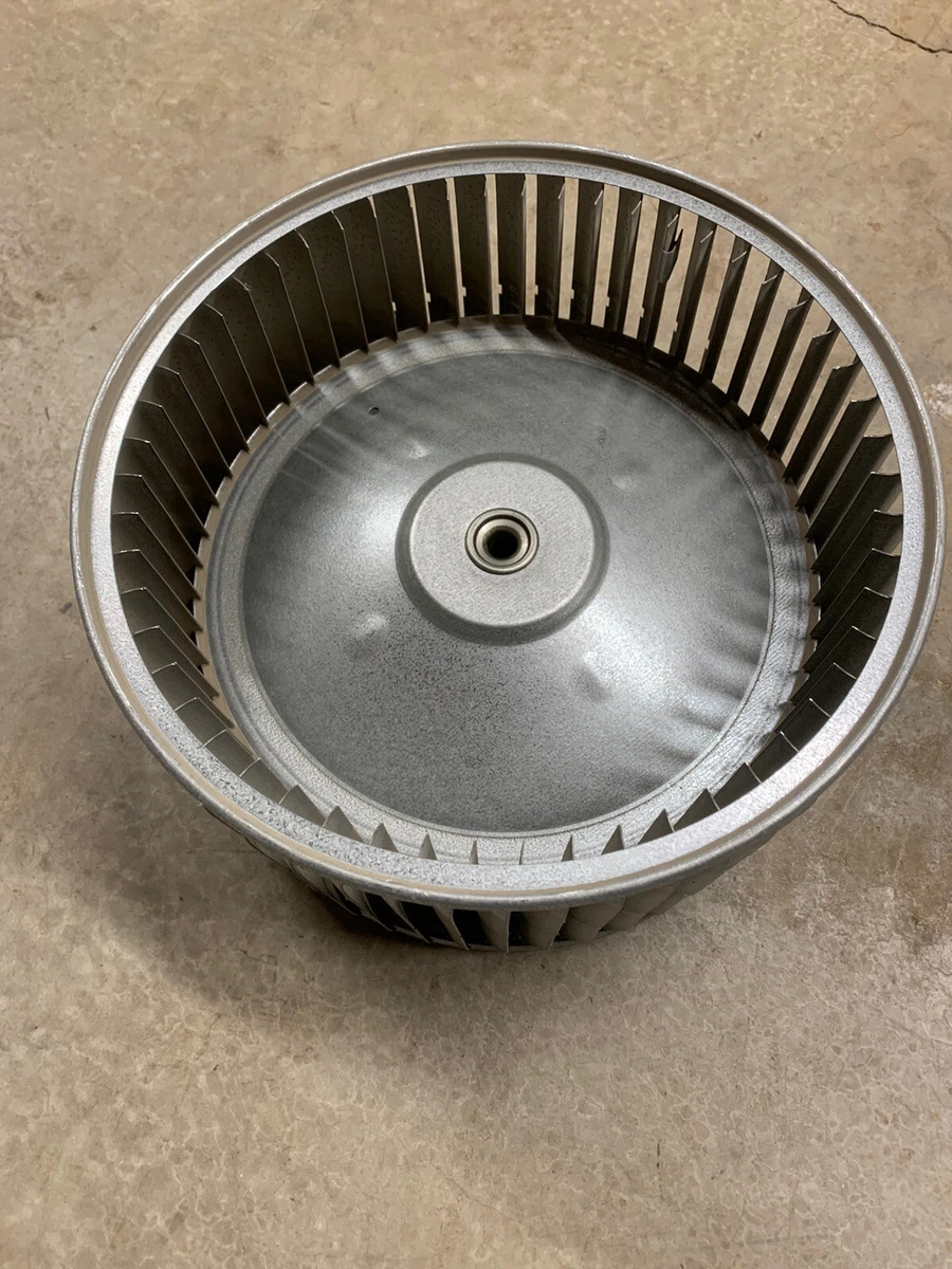 Furnace Squirrel Cage