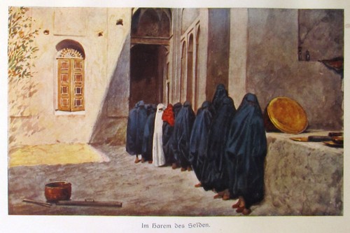 Sven Hedin: Zu Land nach Indien; Band 1 + 2; Sonderedition der Erstausgabe 1910 - Bild 15 von 21