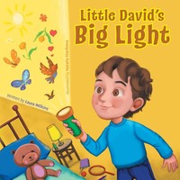 Little David's Big Light Laura Wilkins Taschenbuch Kartoniert / Broschiert 2022
