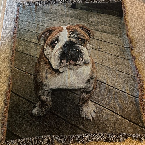 ENGLISH BULLDOG Woven Throw Blanket with Fringe, Multicolor 50" x 60" EUC
