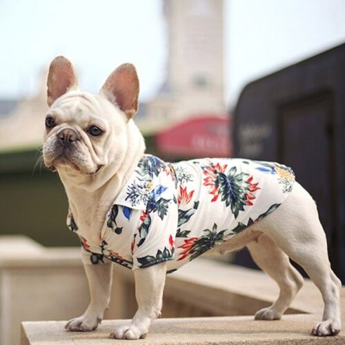 Sofisticado El otro día Buscar Ropa para perro Bulldog francés Ropa para mascotas Ropa para mascotas de  verano Ropa para mascotas Perros medianos Cachorro | eBay