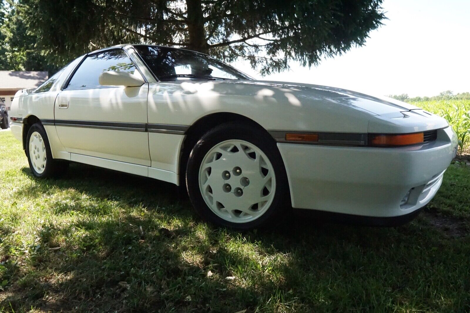 1989 Toyota Supra 