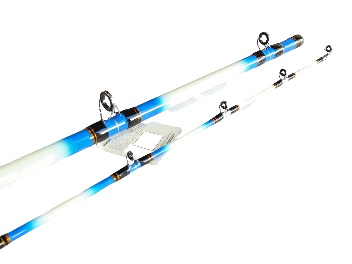 10 ft Item Graphite Fishing Rods & Poles 2 for sale | eBay 10 ft Item Graphite Fishing Rods & Poles 2 for sale | eBay