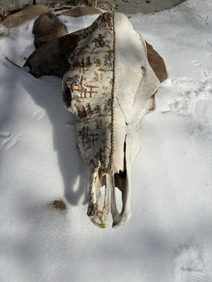 Western Decoupaged Sun Bleached Cow Skull