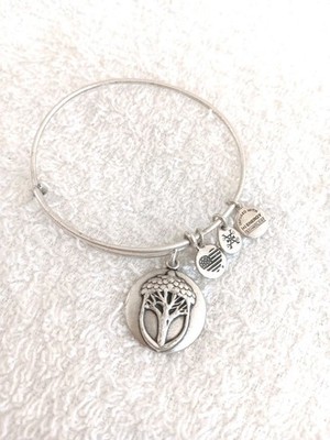 Alex And Ani UNEXPECTED MIRACLES Silver Bangle Bracelet