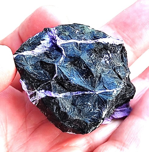 Vecchio stock!Stupende stelle nere Aegirine con Tinaksite gialla in Charoite viola - Foto 5 di 9
