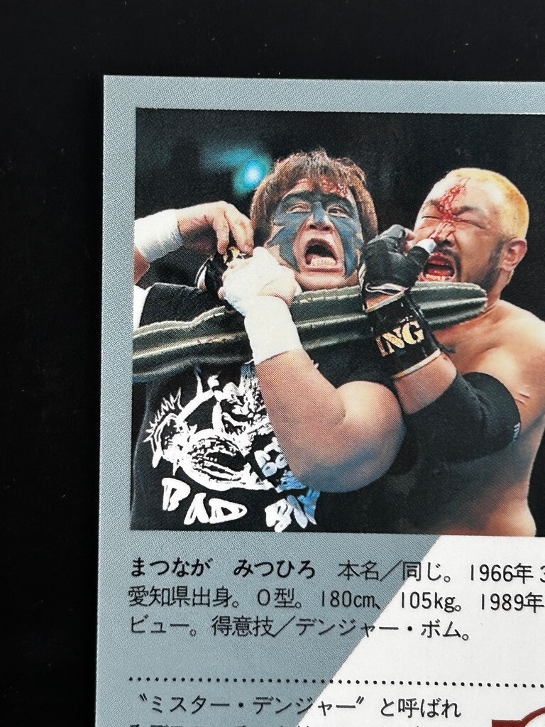 ECWプロレスカード ピットブルズ　BBM Mitsuhiro Matsunaga Pro Wrestling Card 166 Professional
