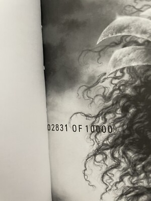 Heavy Metal FAKK 2 1999 Movie Special Simon Bisley Ltd HC Ed 2831