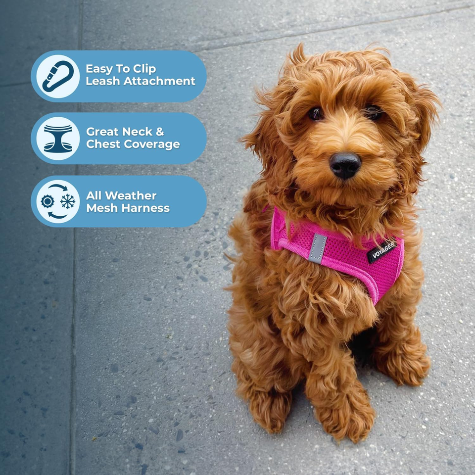 Voyager StepIn Air Dog Harness All Weather Mesh, Reflective, No Pull