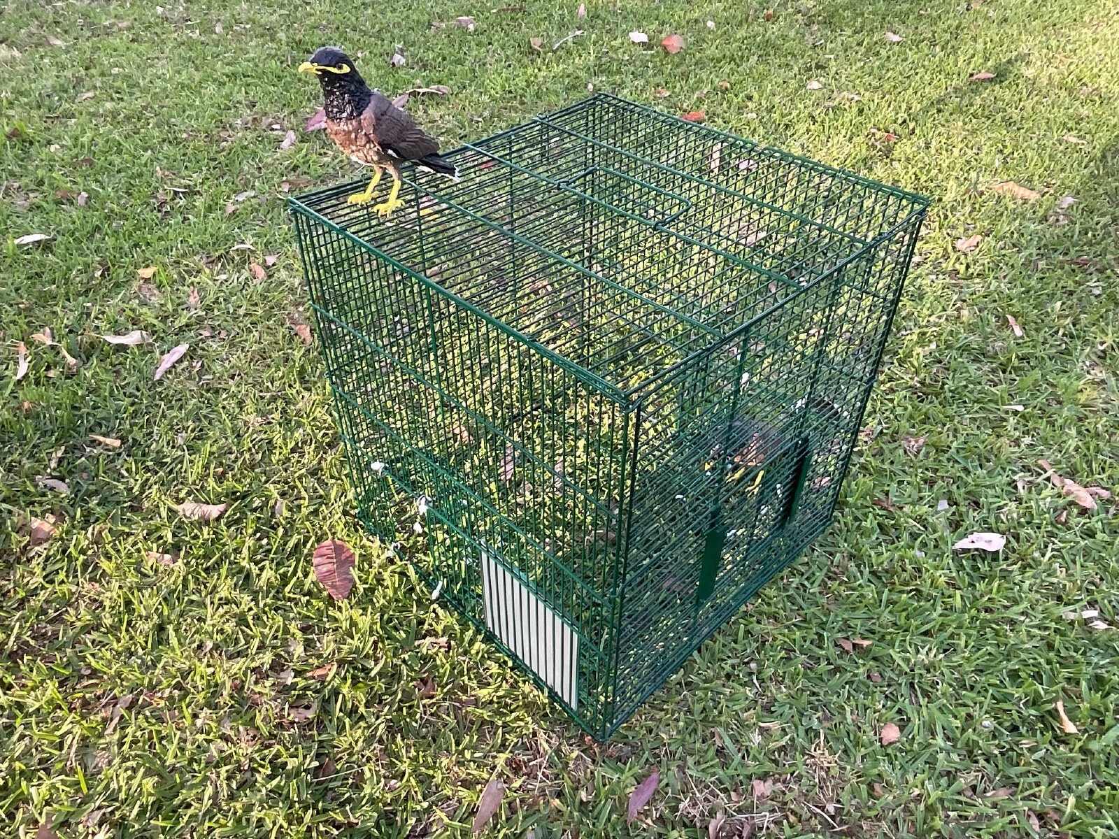 Picture 12 of 24