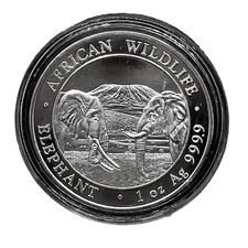 2020 Somalia 100 Shillings African Wildlife 999 Silver Proof  Elephant Coin