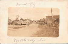 Forest City Maine RPPC Street Scene 1910