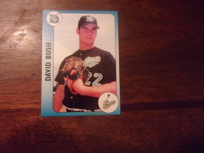 2002 AUBURN DOUBLEDAYS Team Issue Minor League Single Cards YOU PICK OBO