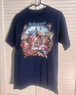 Disneyland / Disney Parks Splash Mountain Shirt Med Authentic nice!