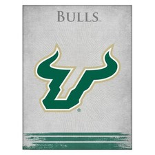 NCAA - South Florida Logo Canvas College Team Logo