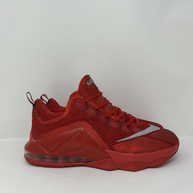 nike lebron 12 online