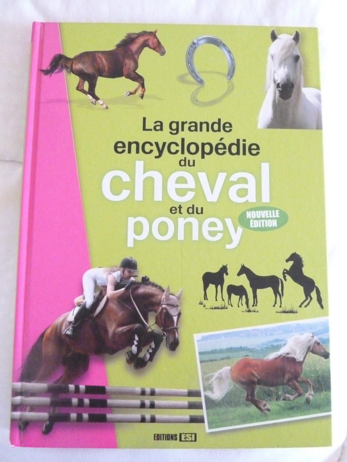 Larousse Junior Du Cheval Et Du Poney
