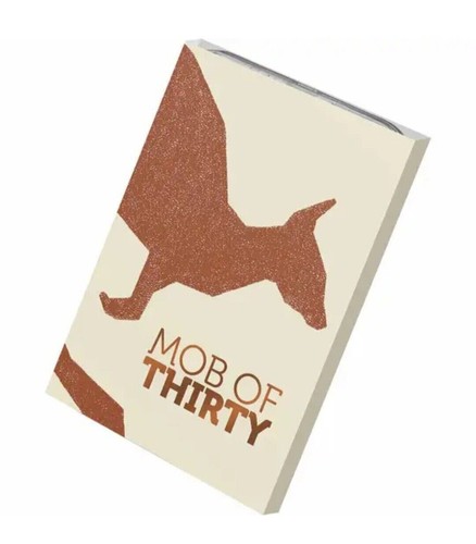Kangaroo Series 30th Anni-Mob of Thirty 1 oz ‘C’ Mintmark Fine Silver Frosted - Picture 4 of 4