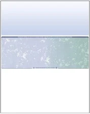 Business Voucher Check Stock - Computer Laser Checks - 500 Sheets, Check in Midd