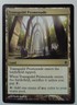 Transguild Promenade *Common* Magic MtG x1 Commander 2013 MP