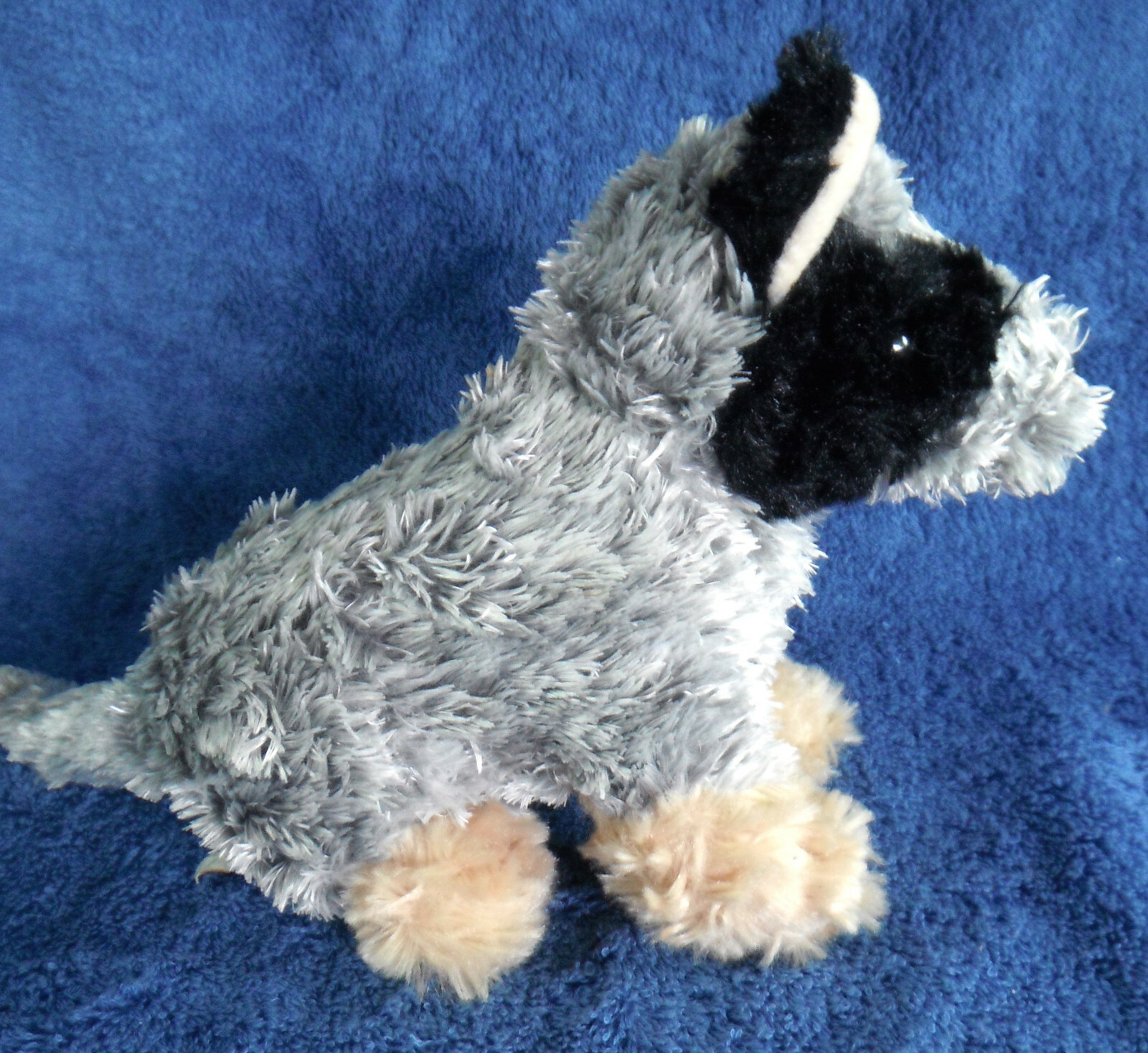 minkplush dog