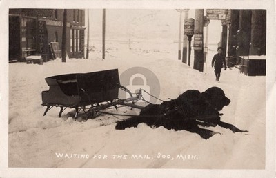 Street View Waiting For The Mail, Soo MI Michigan 1909 RPPC Photo Postcard COPY