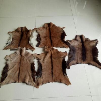 5 Pieces Real Skin Fur Pelt Rug Goat Hide Tanned Leather Soft Clothing 30-40cm
