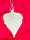 Bild 6 von 12