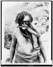 8" x 10" Photo 1924 Hopi Indian with Painted face and Body and Snake