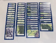  52 Cards 1996 Middle Earth The Wizard CCG BLUE Border Complete REGIONS Set