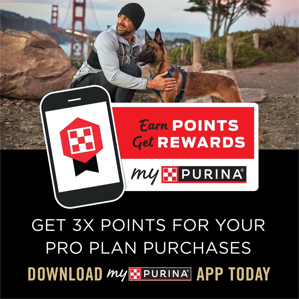 Mezcla salmón y arroz fórmula de alimento seco para perros con probióticos para perros, bolsa de 5 lb Foto 4 de 4