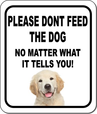 PLEASE DONT LET THE DOG OUT Golden Retriever Metal Aluminum Composite Sign PLEASE DONT LET THE DOG OUT Golden Retriever Metal Aluminum Composite Sign