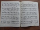 Foto 3 di 3