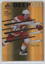 2023-24 Upper Deck SP Game Used Deep Cuts 228/250 Jakob Pelletier #DC-20 14d2