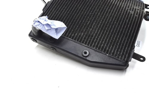Yamaha YZF R6 Rj11 Enfriador de Agua 06-07 2006-2007 Radiador - Imagen 7 de 10