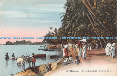 R411277 Batticaloa Am Seeufer Am Seerand Diözese Trincomalie Ceylo