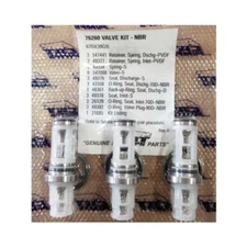 Cat Pumps 76260 Valve Kit for 67DX39G1I Pump