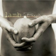 Between Darkness and Wonder von Lamb | CD | Zustand akzeptabel